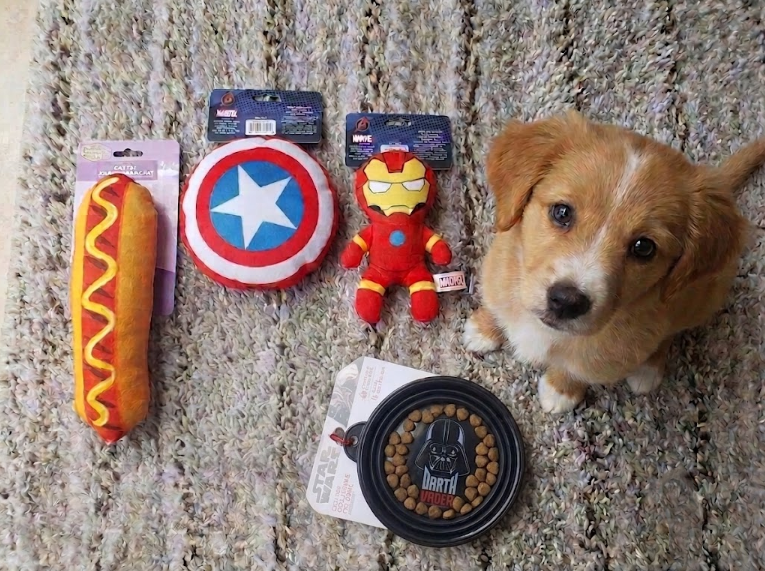 A small brown and white puppy sits on a gray shag rug next to a set of pet toys, including a hot dog plush toy, a Captain America shield toy, an Iron Man plush toy, and a black pet food bowl with a Darth Vader design.