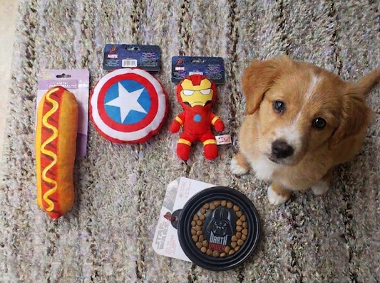 A small brown and white puppy sits on a gray shag rug next to a set of pet toys, including a hot dog plush toy, a Captain America shield toy, an Iron Man plush toy, and a black pet food bowl with a Darth Vader design.